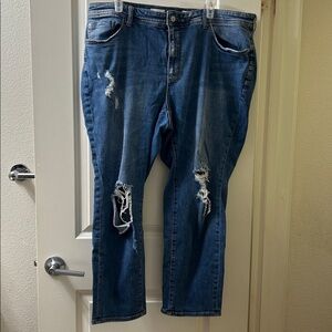 Anthropologie Pilcro Blue Distressed Cropped Jeans Size 20w